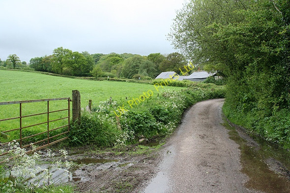 Photo 6"x4" Clayhidon: nearing Lillycombe Farm Biscombe c2006