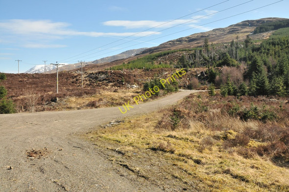 Photo 6"x4" Forestry road at the top of the forest in Glen Righ Glen Righ Forest c2010