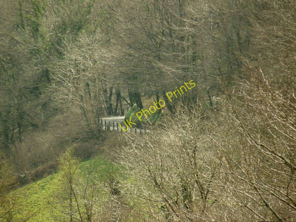 Photo 6"x4" A glimpse of the B3230 passing through Burland Wood between Bittadon and Milltown Bittadon c2010