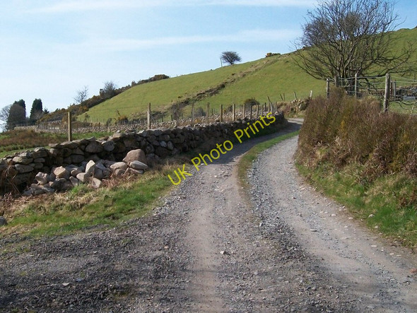 Photo 6"x4" Private access road to dwellings on the east side of Y Foel Bwlch-derwin c2010