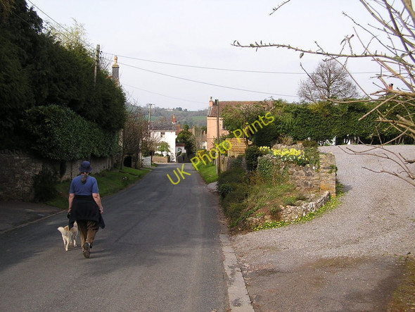 Photo 6"x4" The Street, Ubley Ubley c2010