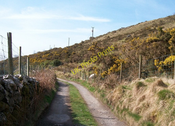 Photo 6"x4" Farm access road on the slopes of Y Foel Bwlch-derwin c2010