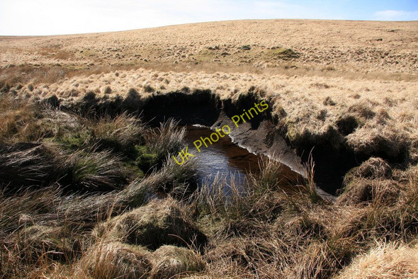Photo 6"x4" Upper Tavy Walkham Head c2010