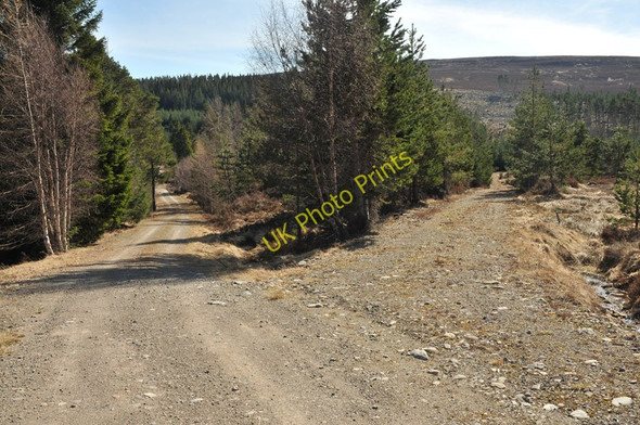 Photo 6"x4" Forest roads in Shewglie Wood Corrimony c2010