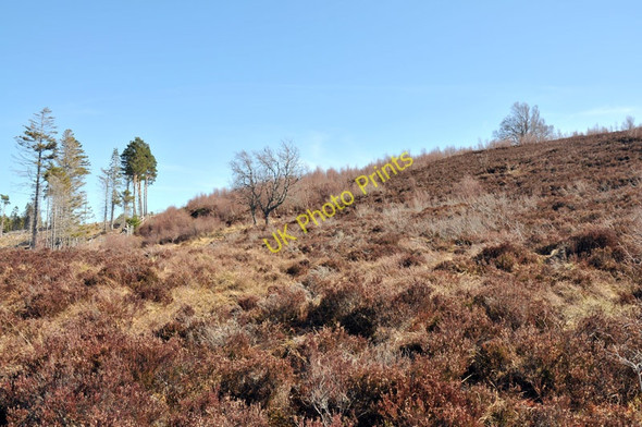 Photo 6"x4" Moorland above Shewglie Wood Carn na h-Imrich c2010