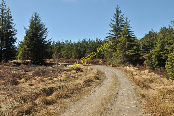 Photo 6"x4" Forestry road in Shewglie Wood Corrimony c2010