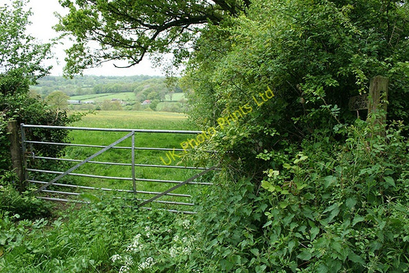 Photo 6"x4" Churchstanton: near Courtsmoor Farm Burnworthy c2006