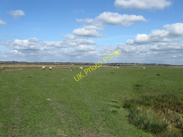 Photo 6"x4" Five Acres Marsh Hailsham c2010