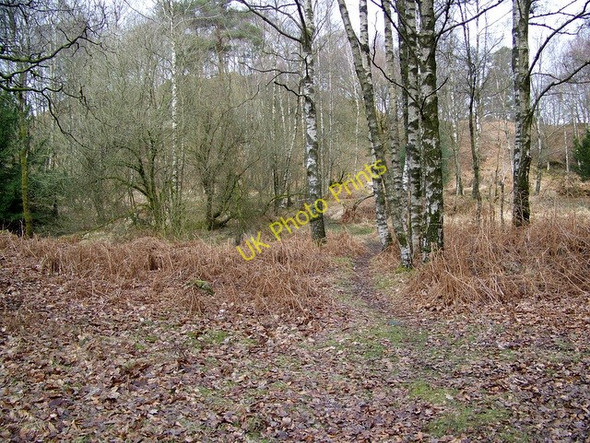 Photo 6"x4" Footpath near Sunny Bank Water Yeat c2010