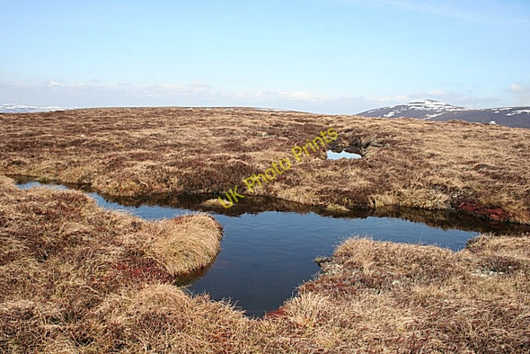 Photo 6"x4" Glenlaff Hill Glenlaff Hill c2010