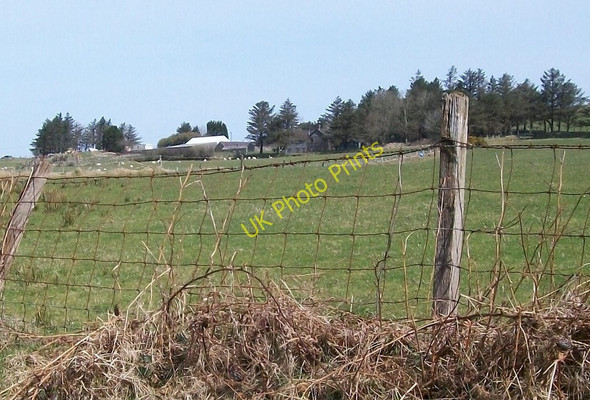 Photo 6"x4" Fferm Tuhwnt- i'r- mynydd- isaf Farm Bwlch-derwin c2010