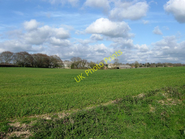 Photo 6"x4" Three Cornered Field Golden Cross\/TQ6310 c2010