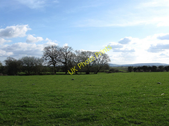 Photo 6"x4" Two Acre Marsh Golden Cross\/TQ6310 c2010