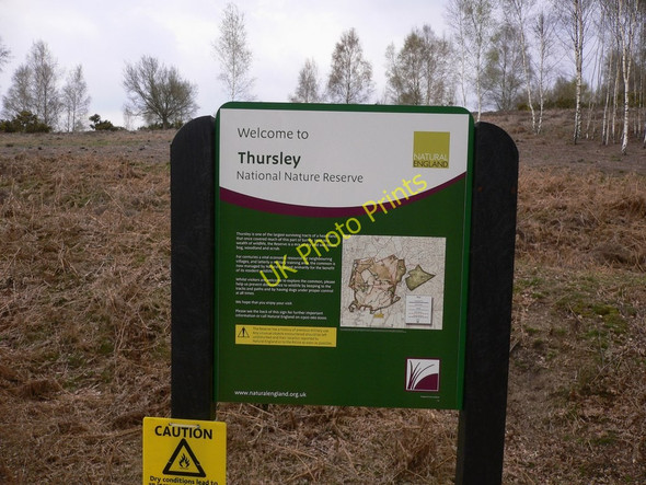 Photo 6"x4" Notice on Thursley NNR Bowlhead Green c2010