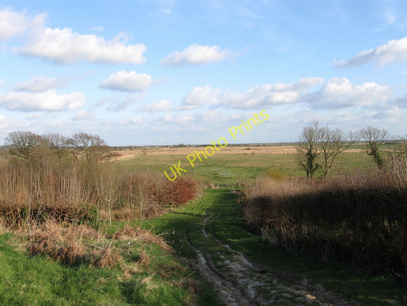 Photo 6"x4" Lower Marsh Hailsham c2010