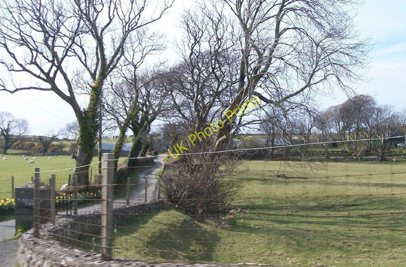 Photo 6"x4" Tyddyn-hen, Gyrn Goch Gryn Goch c2010