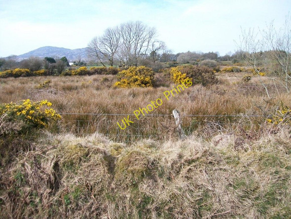 Photo 6"x4" Bogland north of the Sardis road Pencaenewydd\/SH4040 c2010