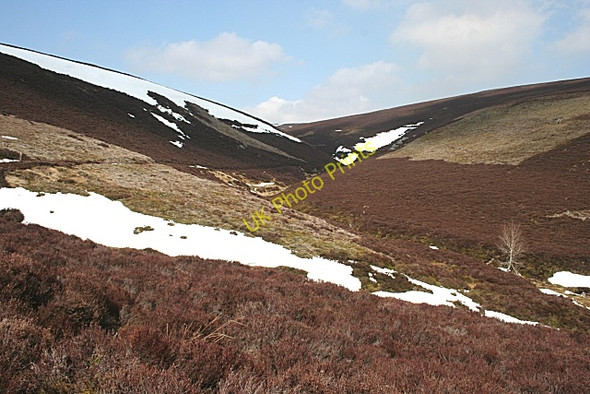 Photo 6"x4" Kindie Burn Glenlaff Hill c2010