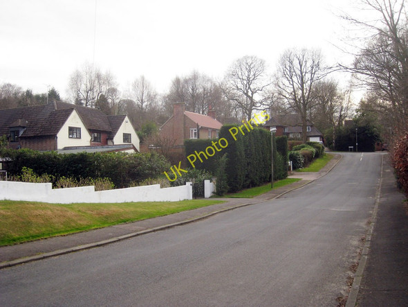 Photo 6"x4" The Rise Hubbard's Hill c2010