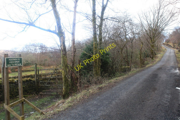 Photo 6"x4" Footpath to Loch Spelve Strathcoil c2010