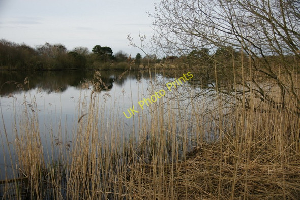 Photo 6"x4" The smaller loch at Monk Myre Coupar Angus c2010