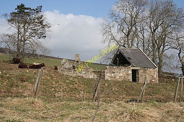 Photo 6"x4" New Rinmore Rinmore c2010