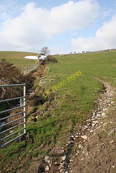 Photo 6"x4" Burn of Faenicreigh Rinmore c2010