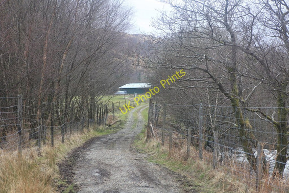 Photo 6"x4" Track between Loch Spelve and Ardura Strathcoil c2010