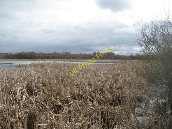 Photo 6"x4" Stanley Ferry Flash (2) Wakefield\/SE3320 c2010