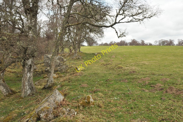 Photo 6"x4" Farmland near Kilnmaichlie Glenlivet c2010