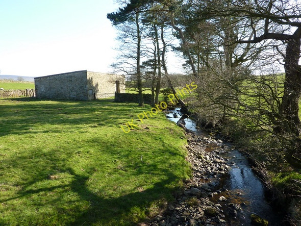 Photo 6"x4" Damas Gill Hampson Green c2010 P1