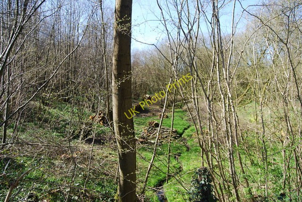 Photo 6"x4" Wooded stream, Angley Wood Flishinghurst c2010