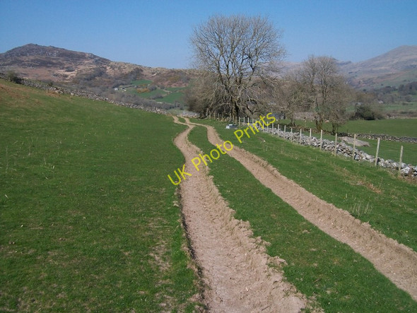 Photo 6"x4" Track  north towards Ysgubor Gerrig Dolbenmaen c2010
