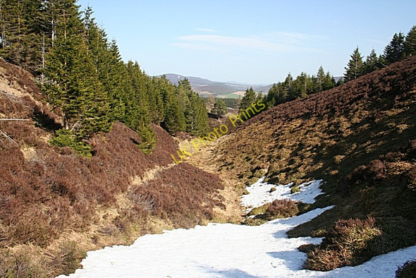 Photo 6"x4" Culsh Burn Kildrummy c2010