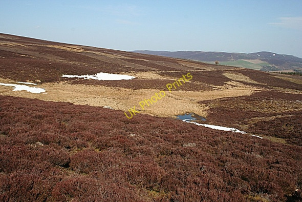 Photo 6"x4" Bog of Culsh Kildrummy c2010