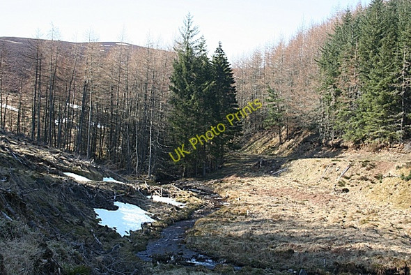 Photo 6"x4" Mossat Burn Kildrummy c2010