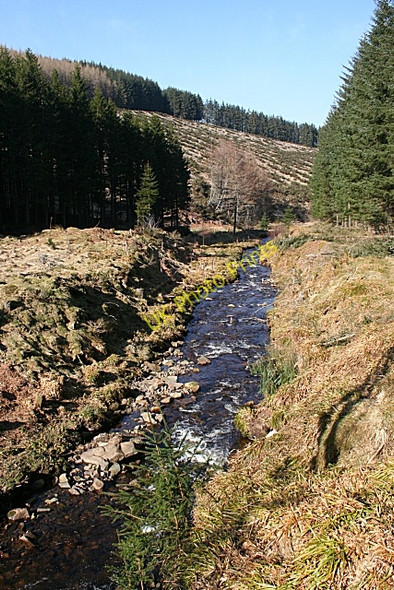 Photo 6"x4" Mossat Burn Kildrummy c2010