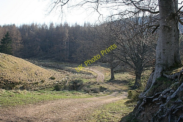 Photo 6"x4" Winding Track near Broadley Kildrummy c2010