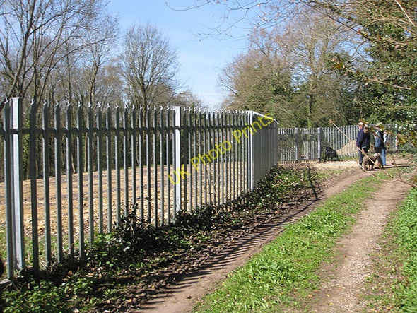 Photo 6"x4" New fence in Gorsley Gorsley Common c2010