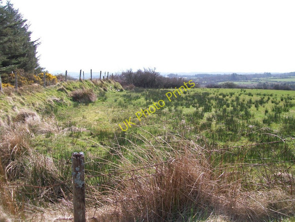 Photo 6"x4" Rough grazing south of the Hendre Cennin road Bwlch-derwin c2010