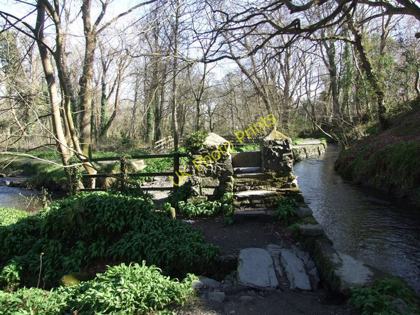 Photo 6"x4" Upper Silverdale Glen Ballasalla\/SC2870 c2010