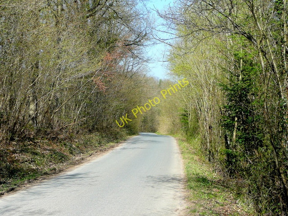 Photo 6"x4" Judges Lane Clifford's Mesne c2010