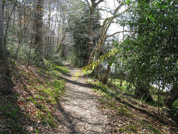 Photo 6"x4" Path through the woods near Abbotsford Boleside c2010