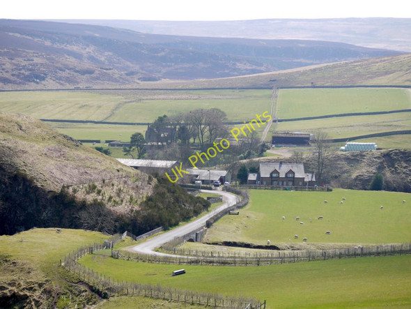 Photo 6"x4" Linbriggs and Linshiels from the north Linbriggs c2010