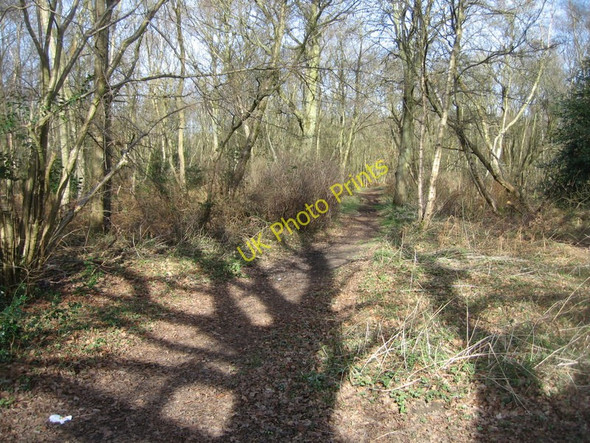 Photo 6"x4" Path across Upper Bucklebury Common Thatcham c2009