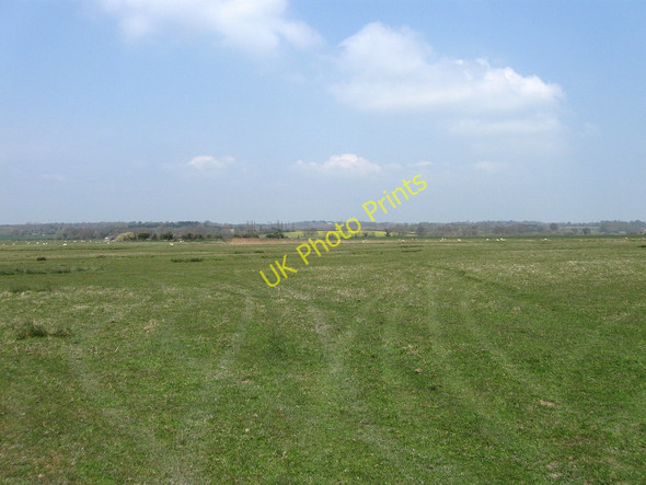 Photo 6"x4" Eleven Acre Marsh (1) Hailsham c2010