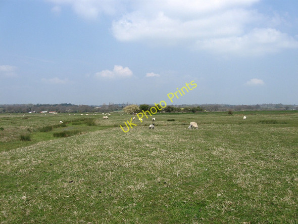Photo 6"x4" Eleven Acre Marsh (2) Hailsham c2010