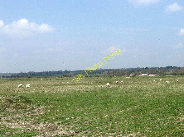 Photo 6"x4" Further Rushy Marsh Hailsham c2010