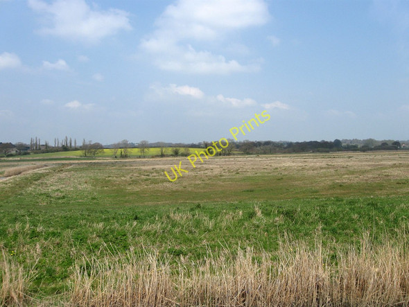 Photo 6"x4" Long Eight Acres Hailsham c2010