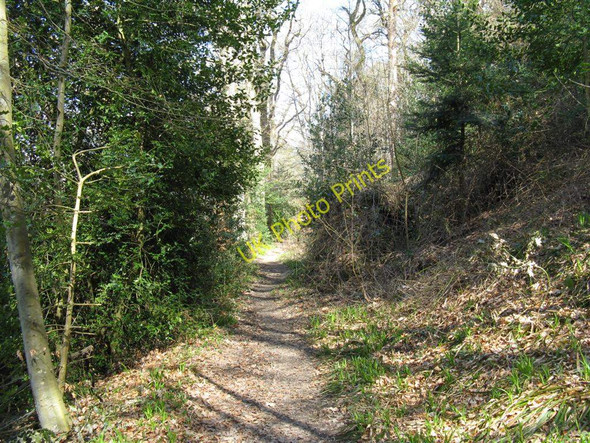Photo 6"x4" Footpath through the woods near Abbotsford Boleside c2010